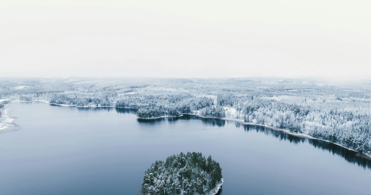 Vinterlandskap med snötäckta skogar och sjö i Sverige — illustration till Humle Fonders månadsbrev februari 2026 om svenska småbolagsmarknaden.